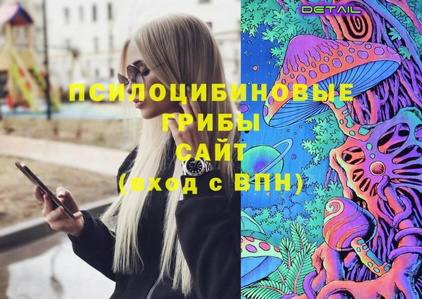 стаф Вязьма